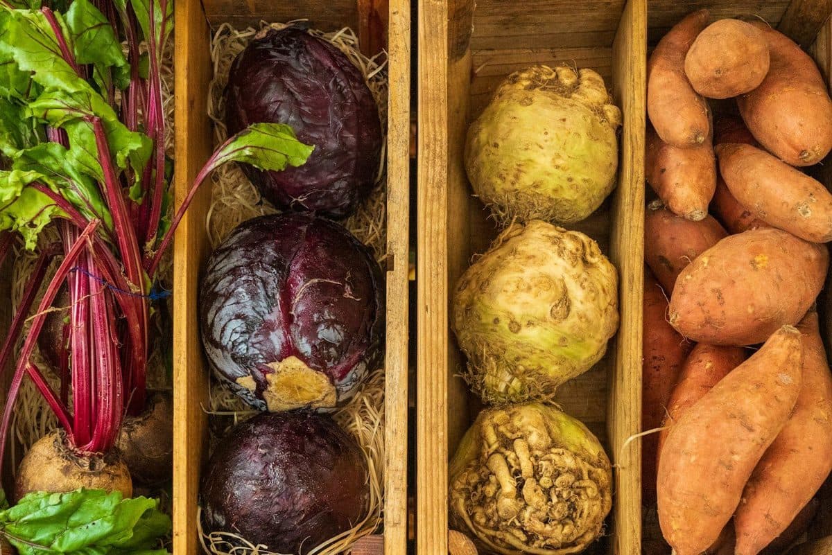 Wooden crates of sorted beets, cabbage, celeriac and sweet potatoes